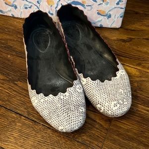 Chloe flats. Sz 37.5 floral dot pattern